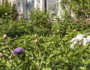 Jardin du musée Stéphane Mallarmé