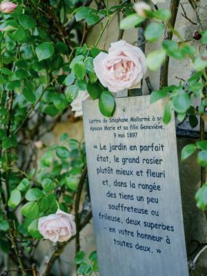 Agrandir l’image