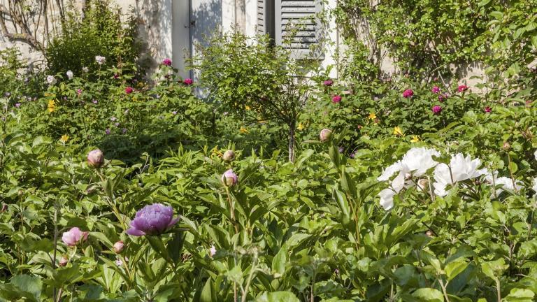 Jardin du musée Stéphane Mallarmé